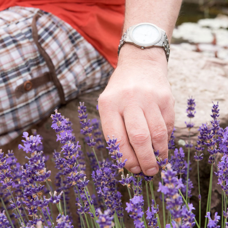 Lavendel Tagesförderstätte Werk-Hilfe